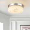 Flush Mount Ceiling Light