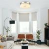 Flush Mount Ceiling Light
