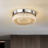 Flush Mount Ceiling Light