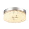 Flush Mount Ceiling Light