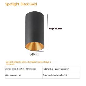 Thigh High Anti-glare Punch Free Ceiling Living Room Aisle Surface Mounted Spotlight (Option: 10w White Light 5700k-Black Gold)